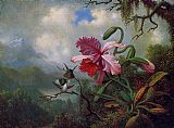 Orchid and Hummingbirds near a Mountain Lake by Martin Johnson Heade